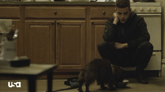 Flipper on "Mr. Robot." 