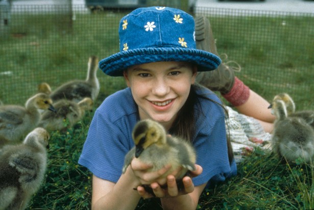 Fly_Away_Home_12073_Medium