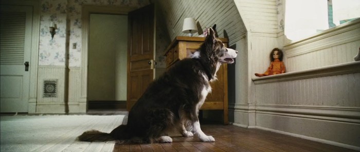 The Amityville Horror