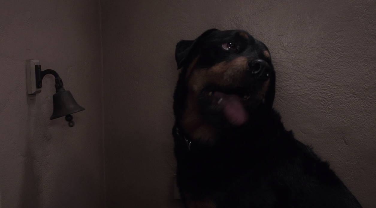 Does The Dog Die In The Conjuring