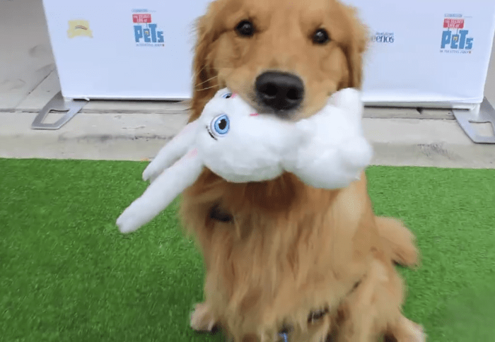 Screen Shot 2016-06-30 at 12.38.48 PM