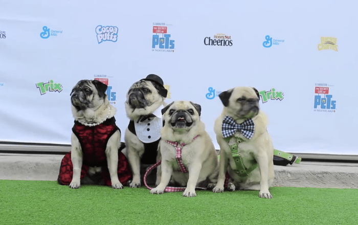 Screen Shot 2016-06-30 at 12.38.57 PM