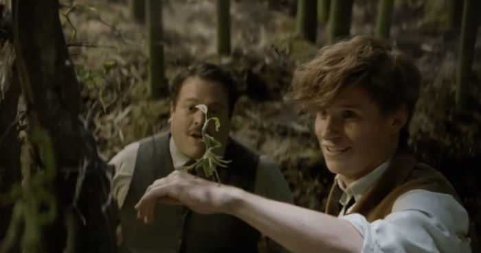 bowtruckles.png