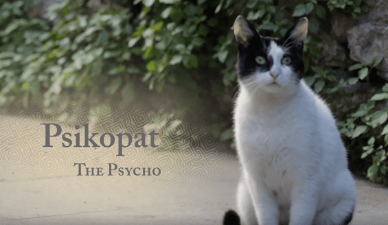 screen-shot-2016-12-15-at-5-00-26-pm