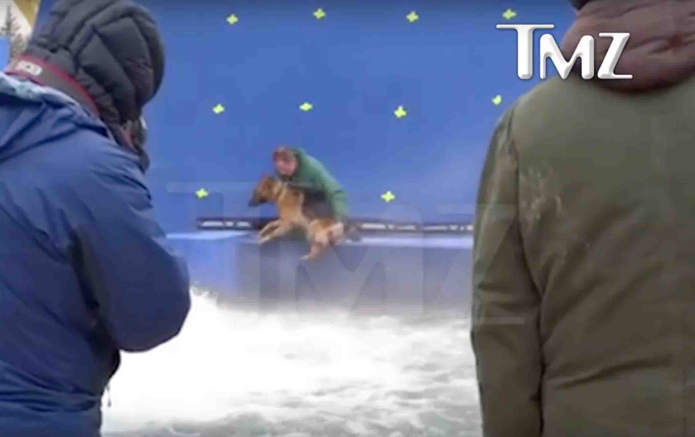 a-dogs-purpose-tmz-footage-abuse