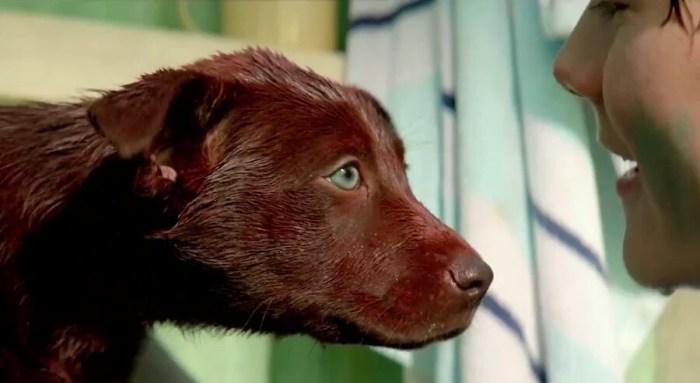 MV5BYmM4MGYwMWEtNzM1Mi00NzRhLWFmMDEtZWE4MGRkZGIyOGZiXkEyXkFqcGdeQXVyNjc3MTIyNzA@._V1_