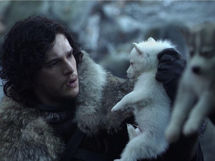 jon-snow-direwolf-art