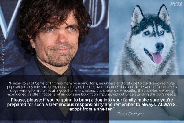 Peter-Dinklage-Husky-Statement-2-602x401