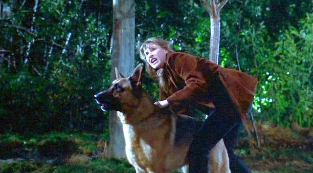 final-destinatin-dog