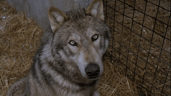 Screen Shot 2017-10-26 at 3.34.05 PM