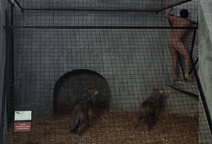 Screen Shot 2017-10-26 at 3.34.25 PM