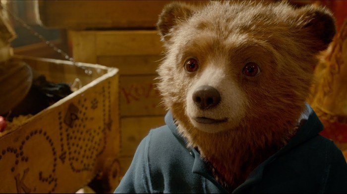 paddington21