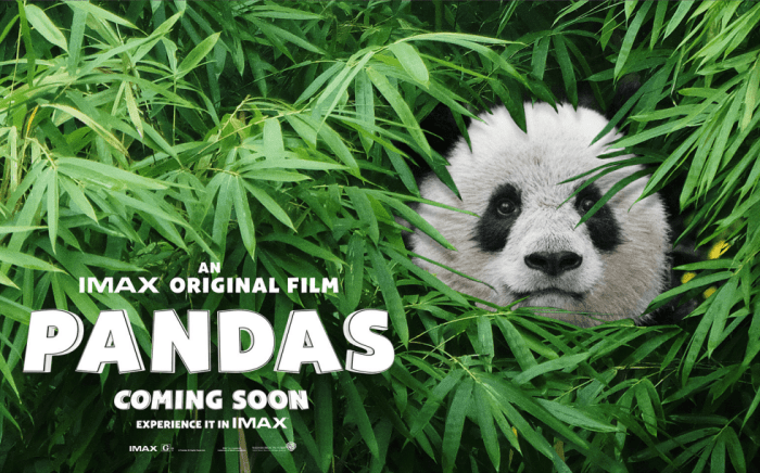 pandas-movie