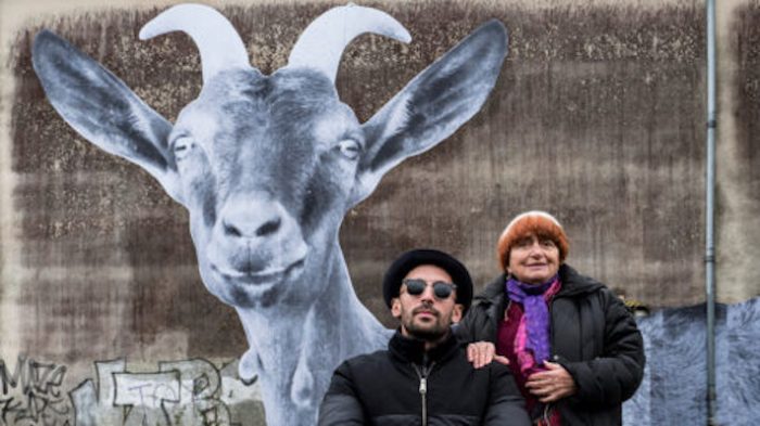 varda-goat