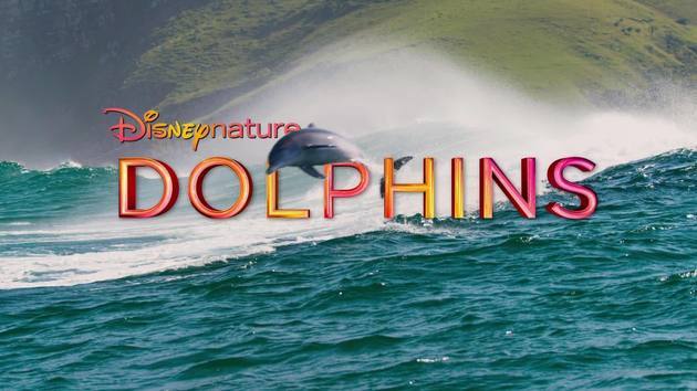 disneynature-dolphins