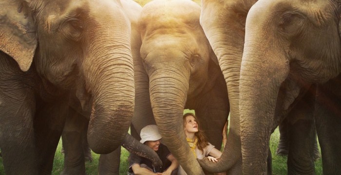 love-and-bananas-movie