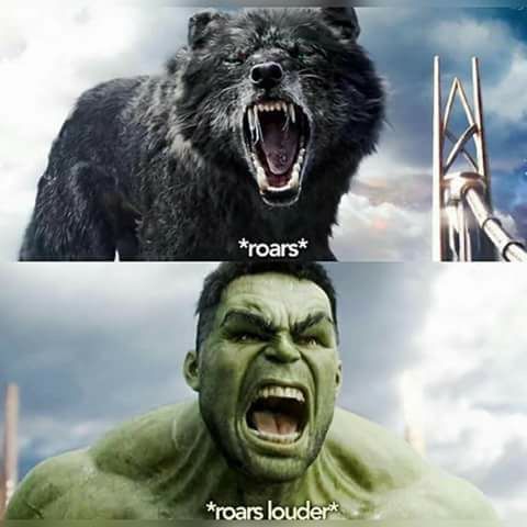 5b9ae4f68cd2487acad2c3bea041c1bd