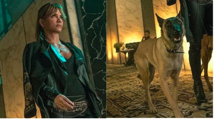 johnwick3-halleberry