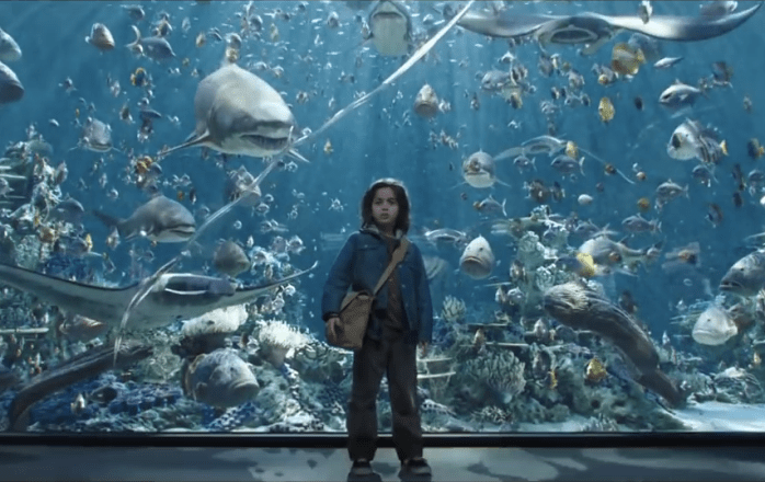 aquaman2