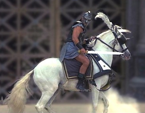 gladiator-white-horse