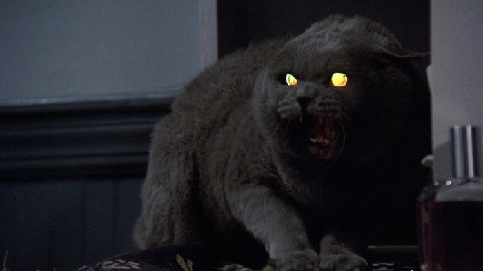 pet-sematary-church-the-cat