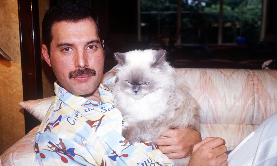 freddiemercury1