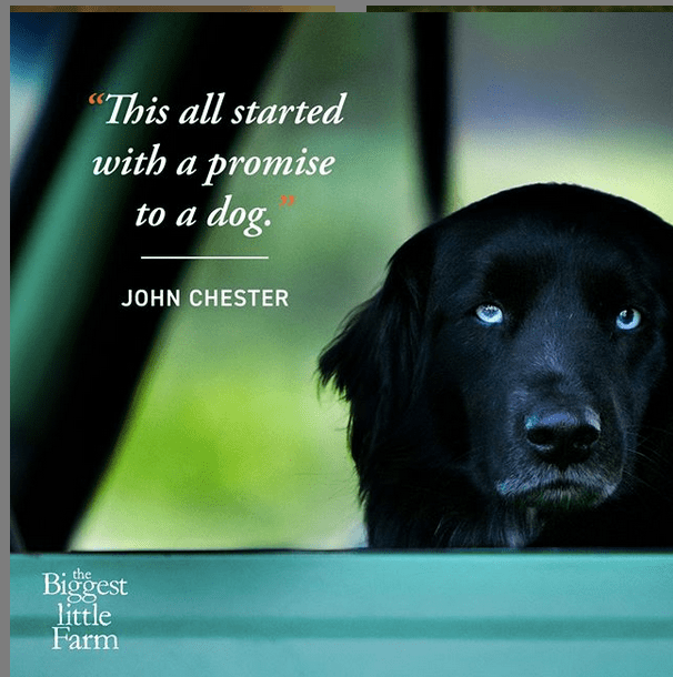 Screen Shot 2019-05-09 at 3.48.13 PM