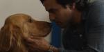 All About the Dogs Who Play Enzo in ‘The Art of Racing in the Rain ...