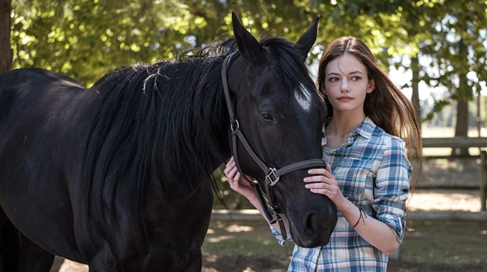 This image has an empty alt attribute; its file name is black-beauty.jpg