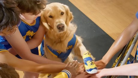 Air Bud Returns