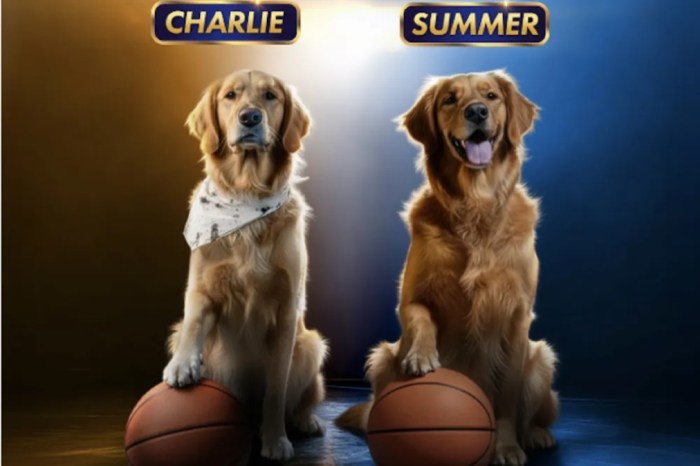 Charlie and Summer were selected to play the new Buddy 