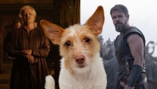Argos the dog in "The Odyssey"