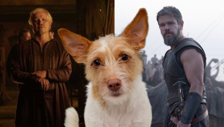 Argos the dog in "The Odyssey"
