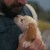 Odysseus (Matt Damon) with his loyal dog Argos in "The Odyssey"