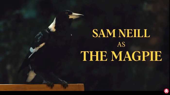 Sam Neill voices the Magpie in "The Fox"
